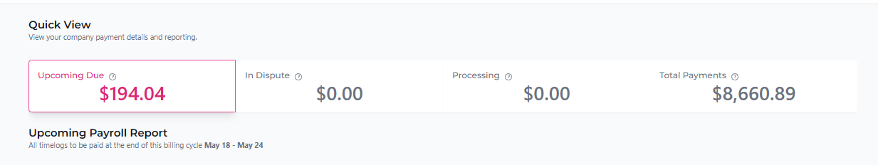 Payment Quickview Dashboard